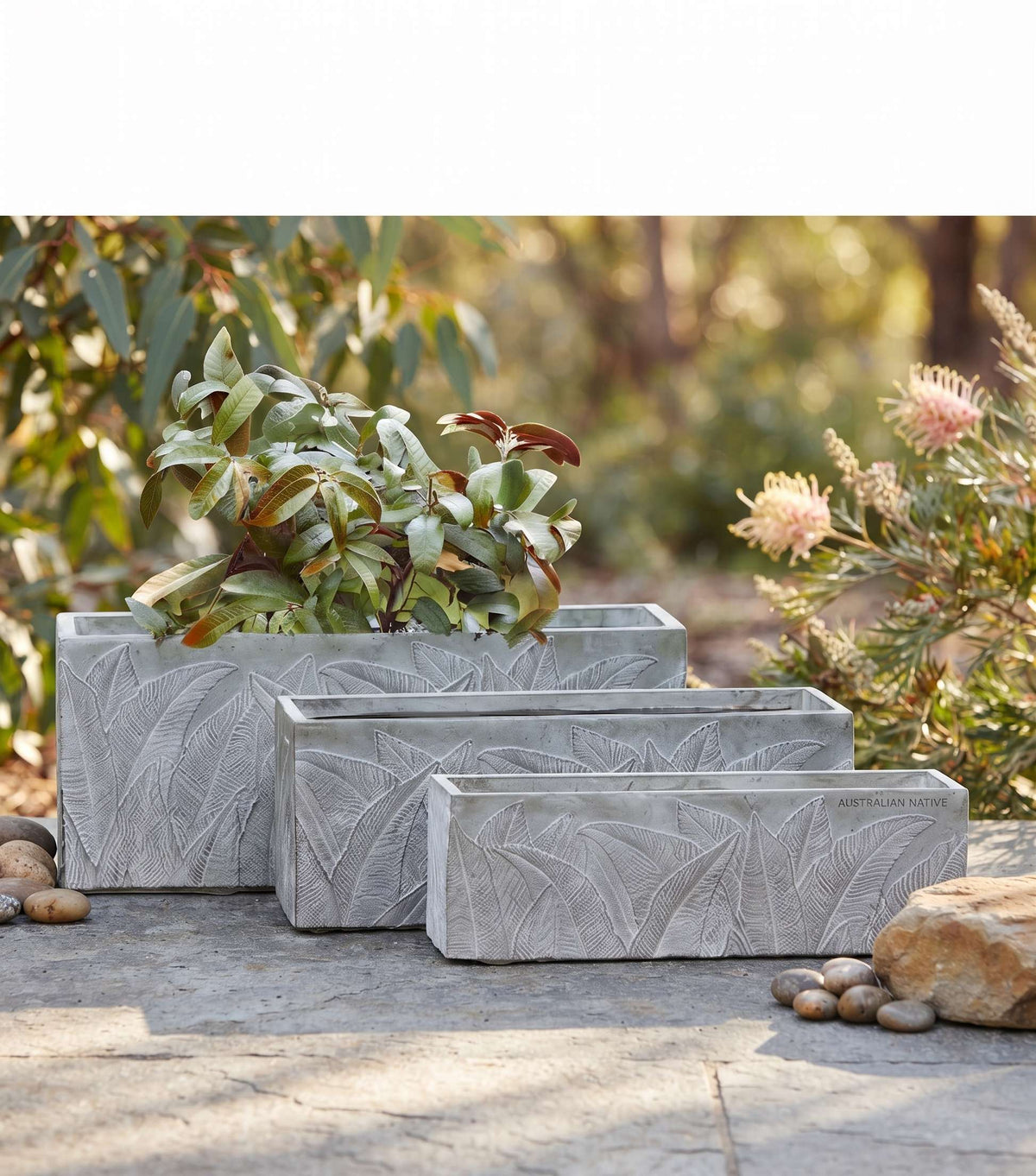 The Botanical Trough Series | Embossed Palm Leaf Rectangular Planters