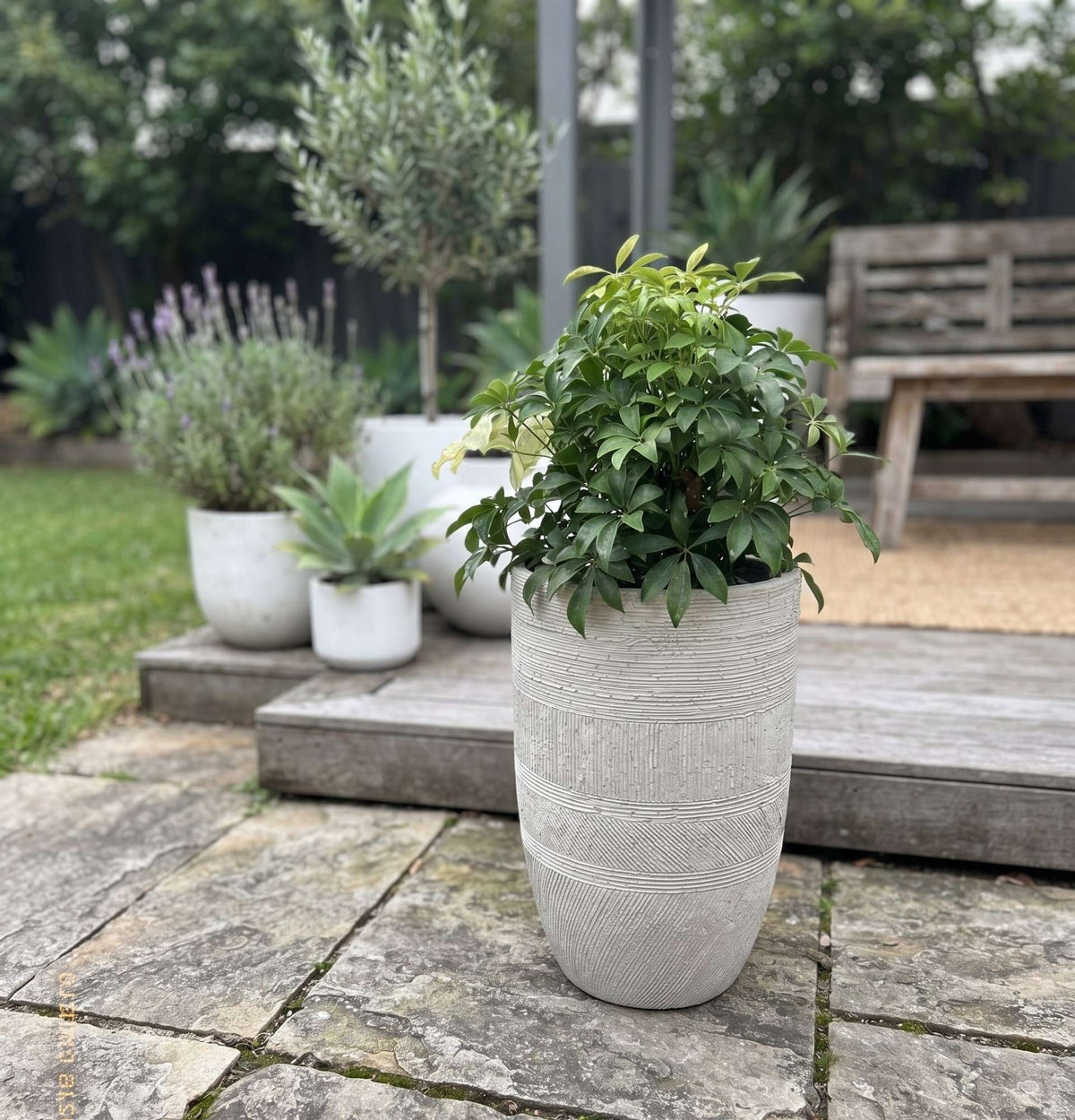 The Artisan Series | Textured Tall U Shape Planters