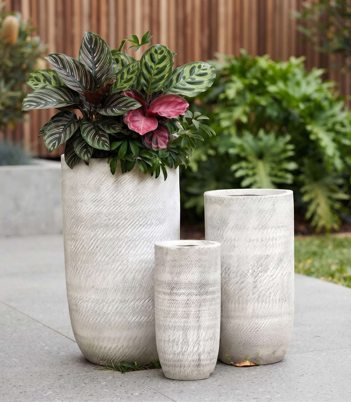 The Textured Pillar Series | Tall Pebble Grain Planters Pots