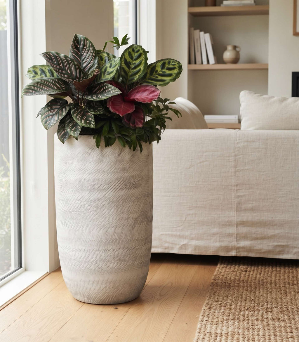 The Textured Pillar Series | Tall Pebble Grain Planters Pots