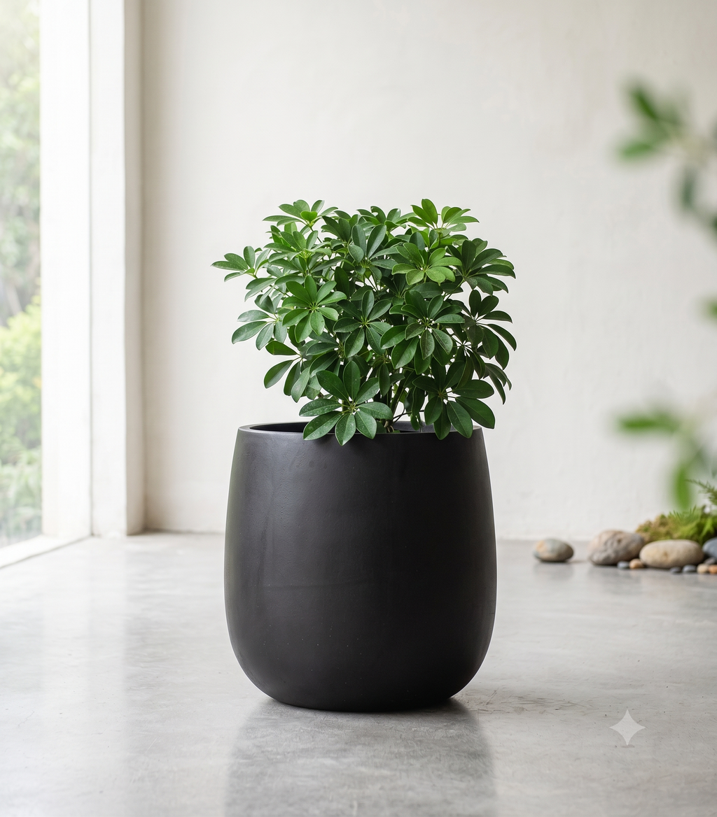 The Tapered Series | Onyx Black Cone-Shape Planters
