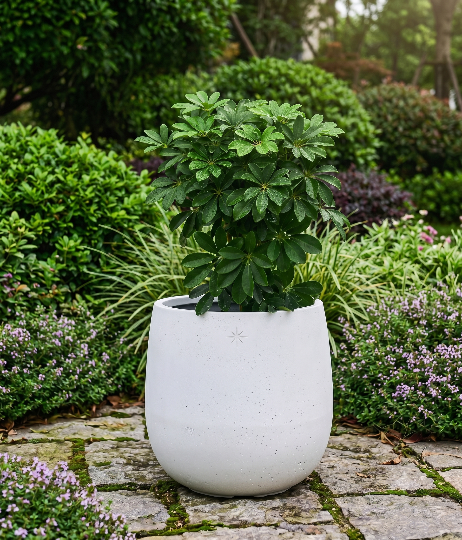 The Tapered Series | Alabaster White Cone-Shape Planters