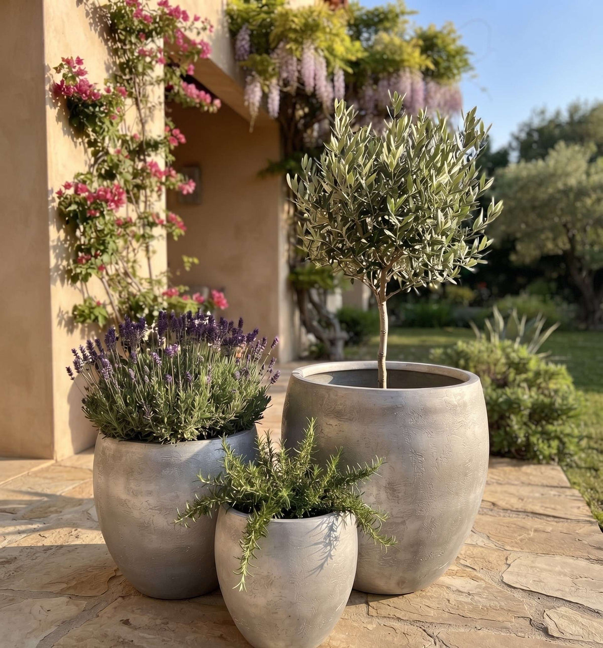The Apple Silhouette Series | Cone Shape Planter pot