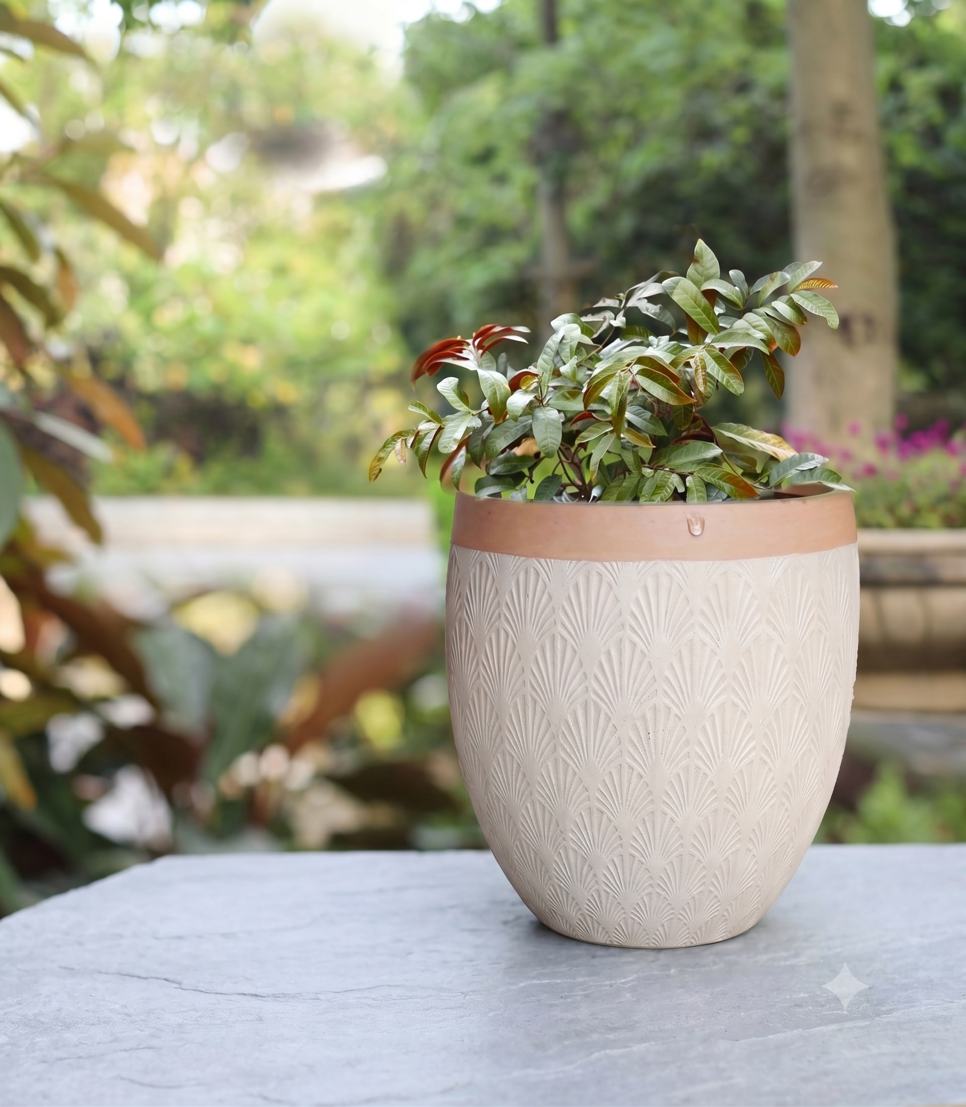 The Horizon Egg Series | Two-Tone Textured Planters