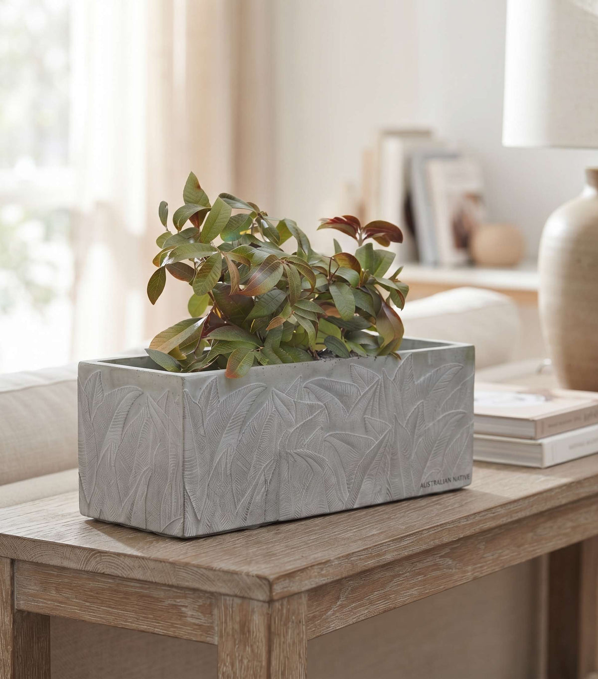 The Botanical Trough Series | Embossed Palm Leaf Rectangular Planters