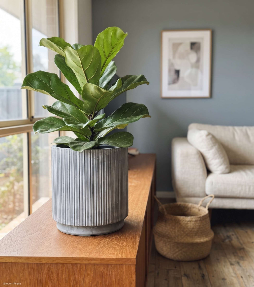 The Linear Tube Series | Fluted Column Planter Pots