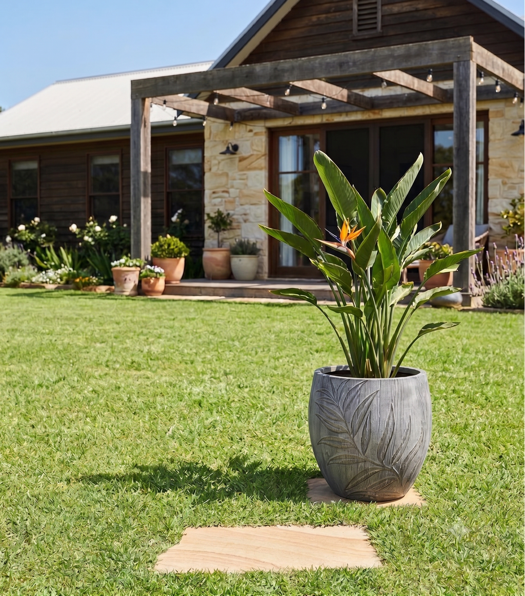 The Botanical Apple Series | Embossed Palm Leaf Planters
