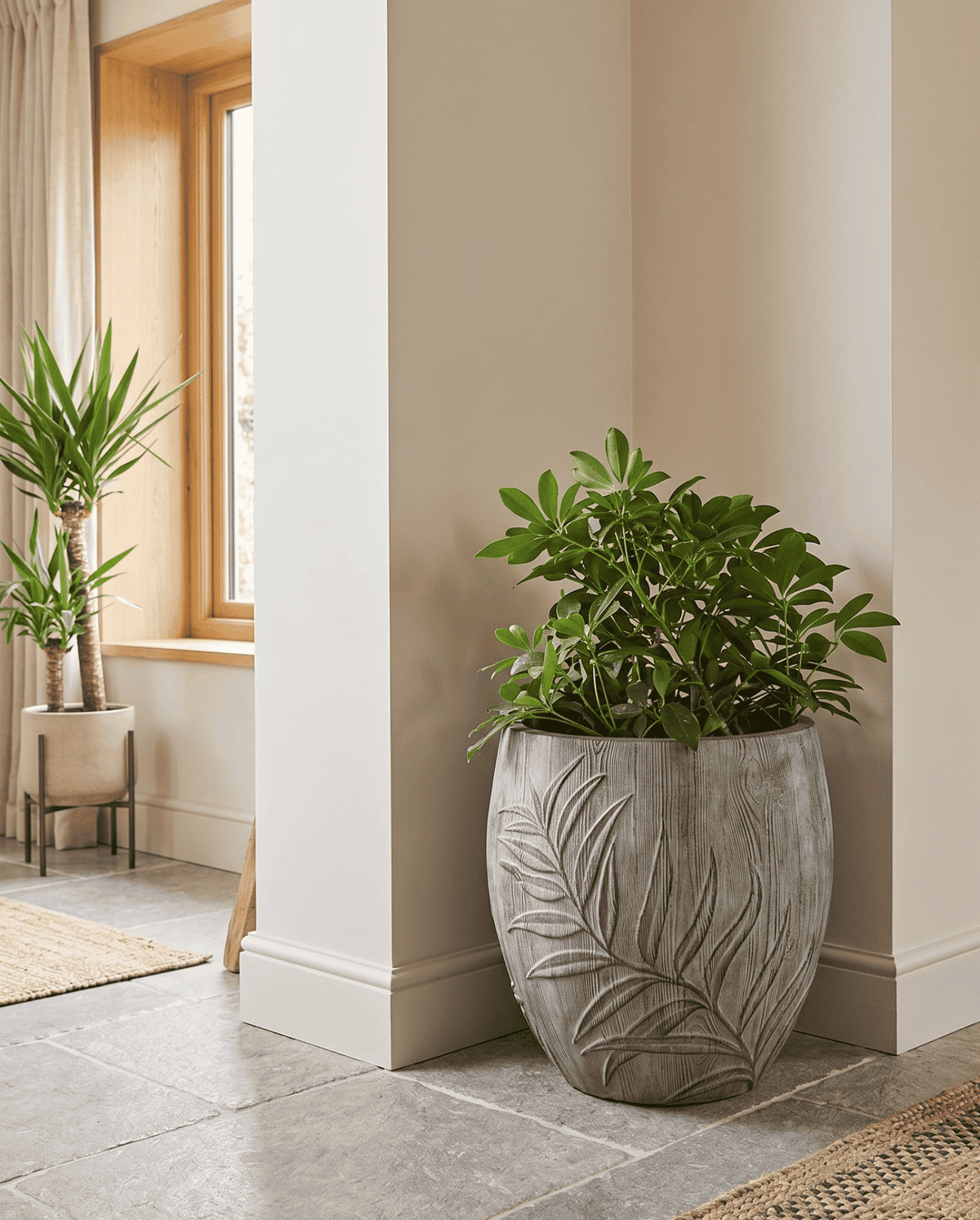 The Botanical Apple Series | Embossed Palm Leaf Planters