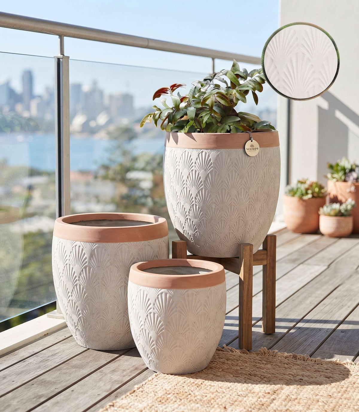 The Horizon Egg Series | Two-Tone Egg Shaped Planter Pots