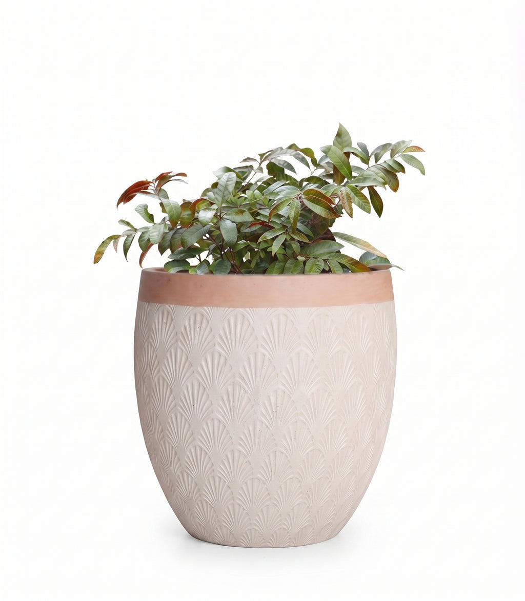 The Horizon Egg Series | Two-Tone Textured Planters
