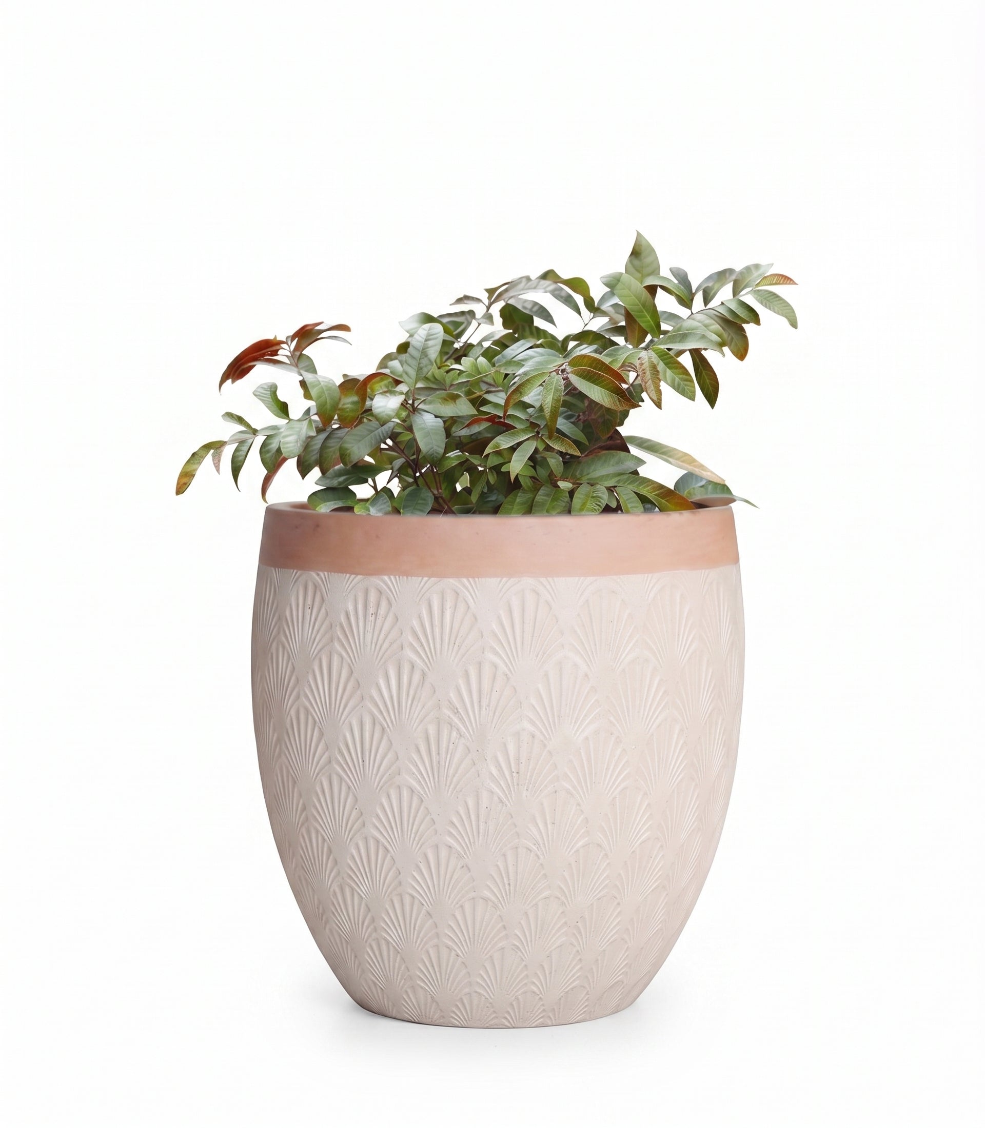 The Horizon Egg Series | Two-Tone Textured Planters