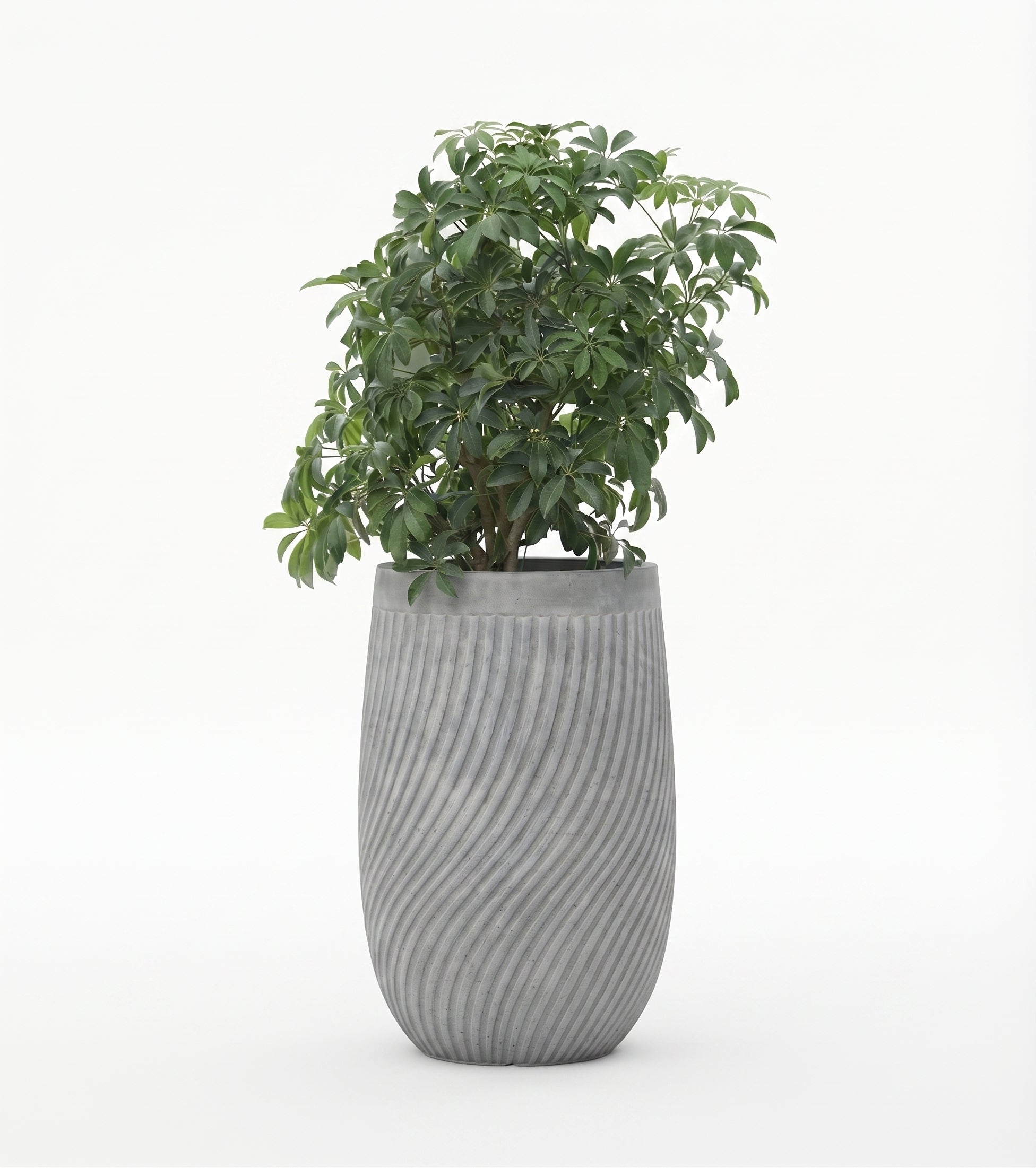 The Vortex Series | Spiral Textured Tall U-Shape Planters