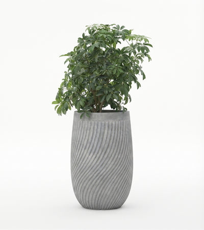 The Vortex Series | Spiral Textured Tall U-Shape Planters