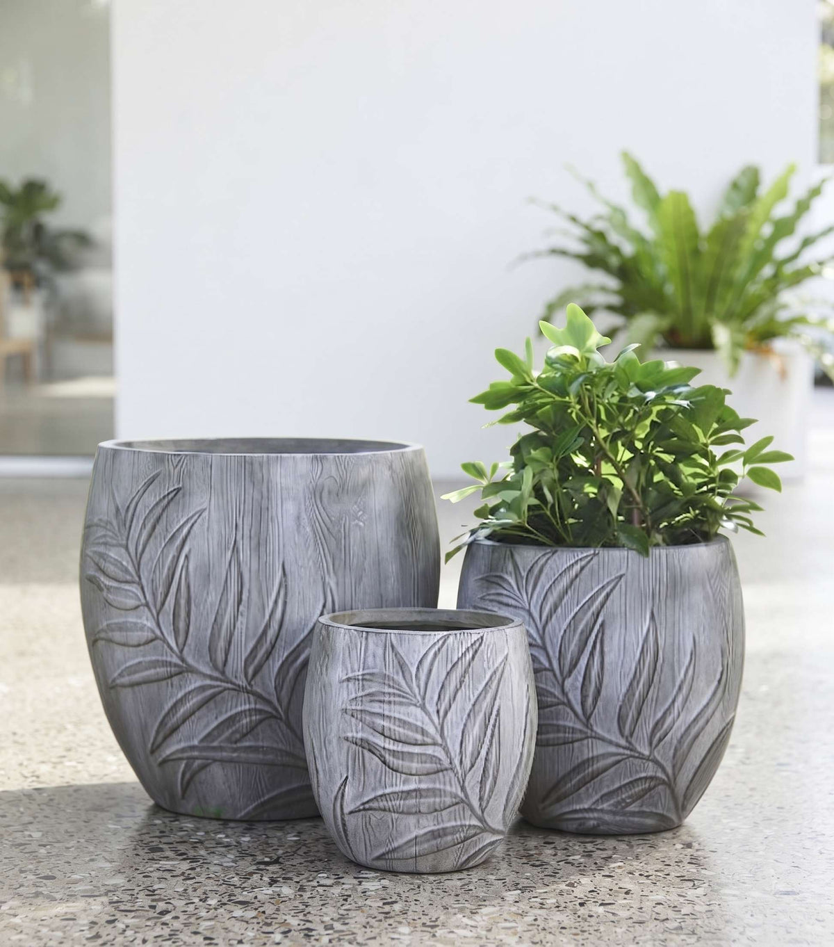 The Botanical Apple Series | Embossed Palm Leaf Planters