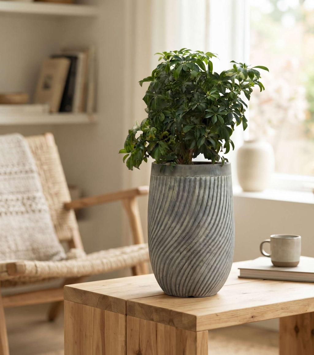 The Vortex Series | Spiral Textured Planter Pots