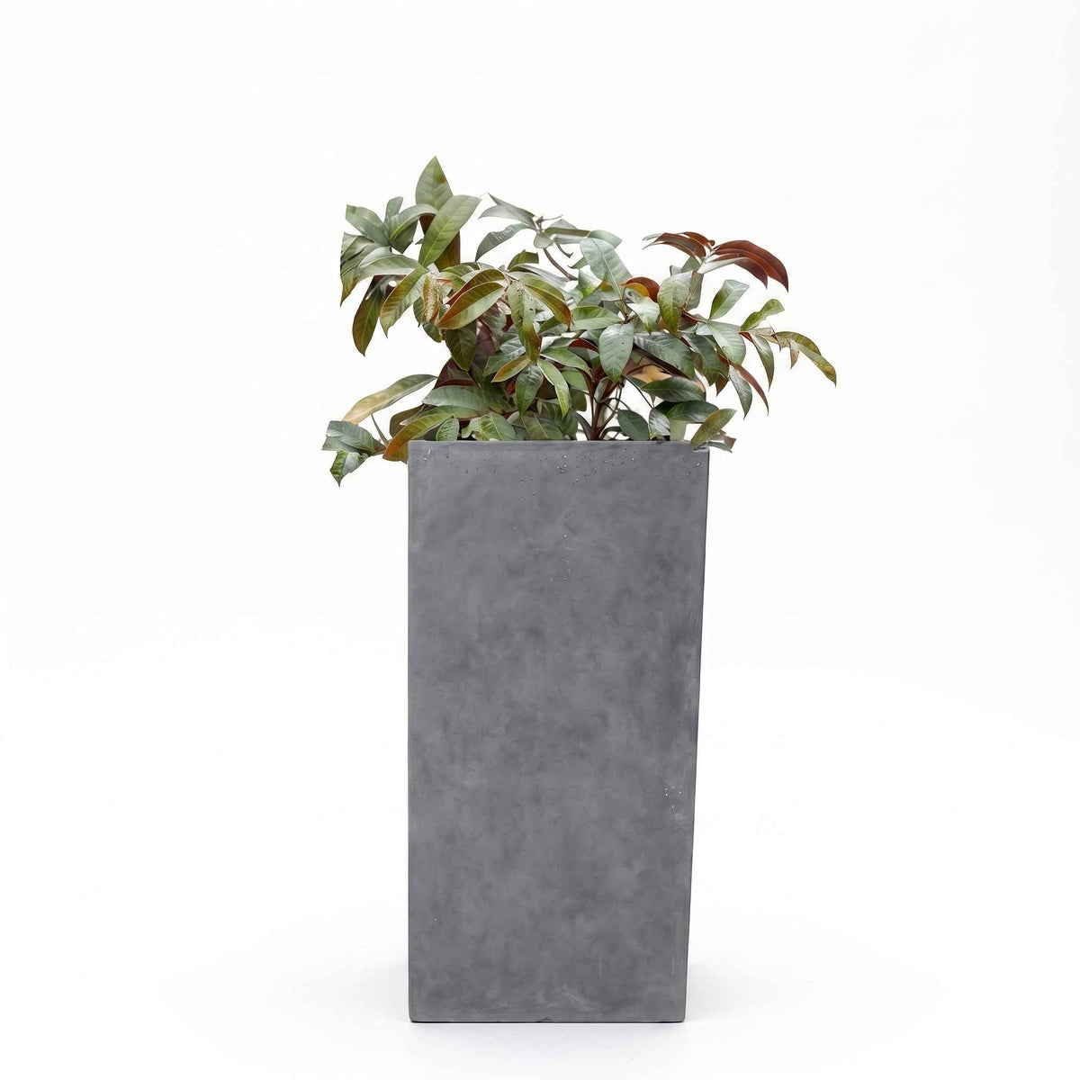 Sleek tall square planters pots showcasing a clean architectural silhouette