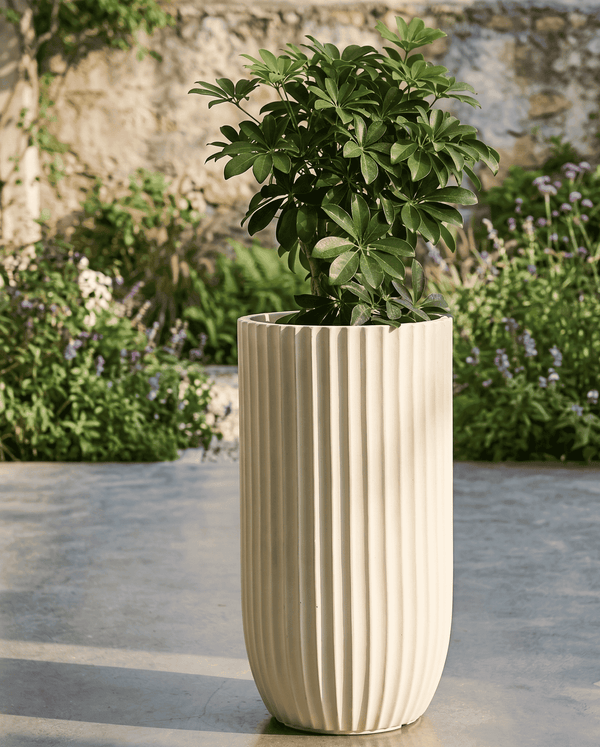 Close-up view of premium tall white U-shape planters designed for contemporary home decor