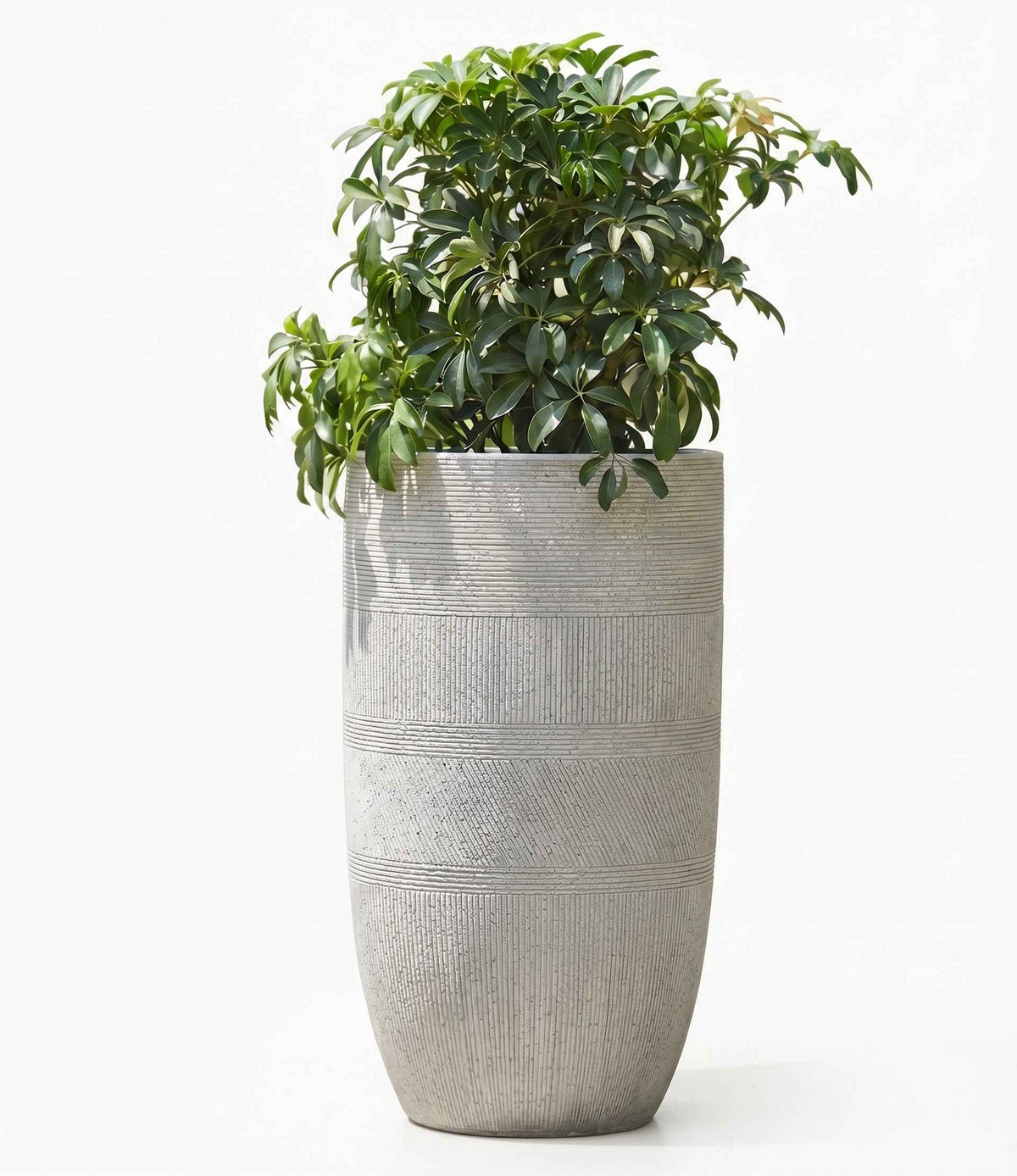 Tall pebble grain planters pots showcasing a detailed tactile finish in a modern room setting