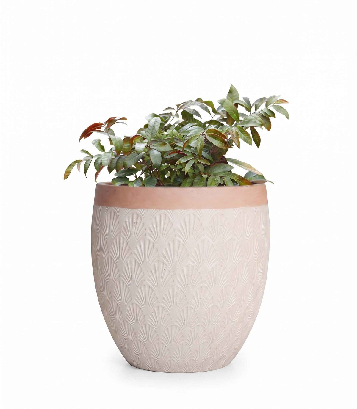 Close-up view of Horizon Series egg shaped planter pots designed for contemporary plant styling