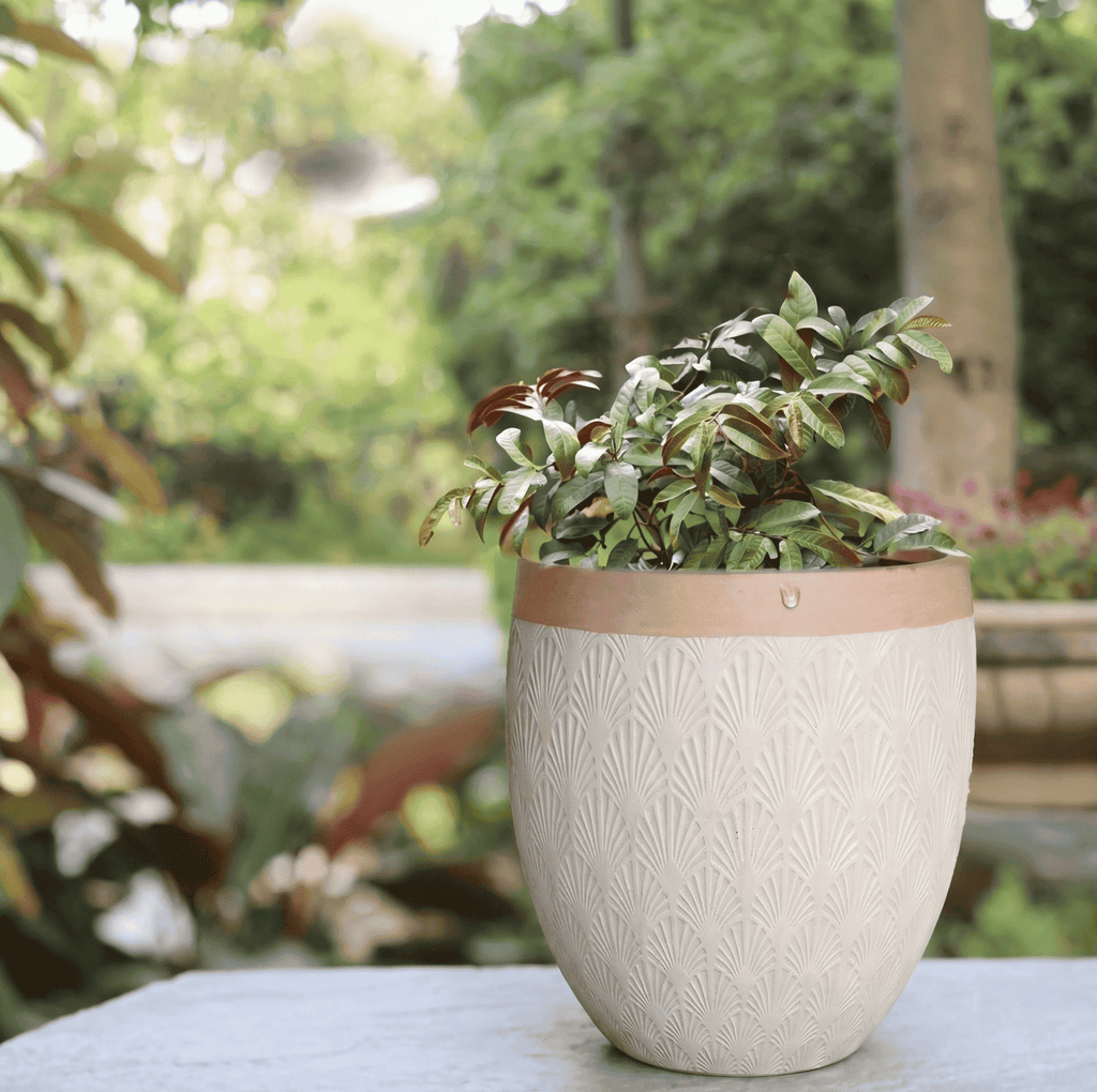 Durable egg shaped planter pots styled elegantly on a bright patio deck